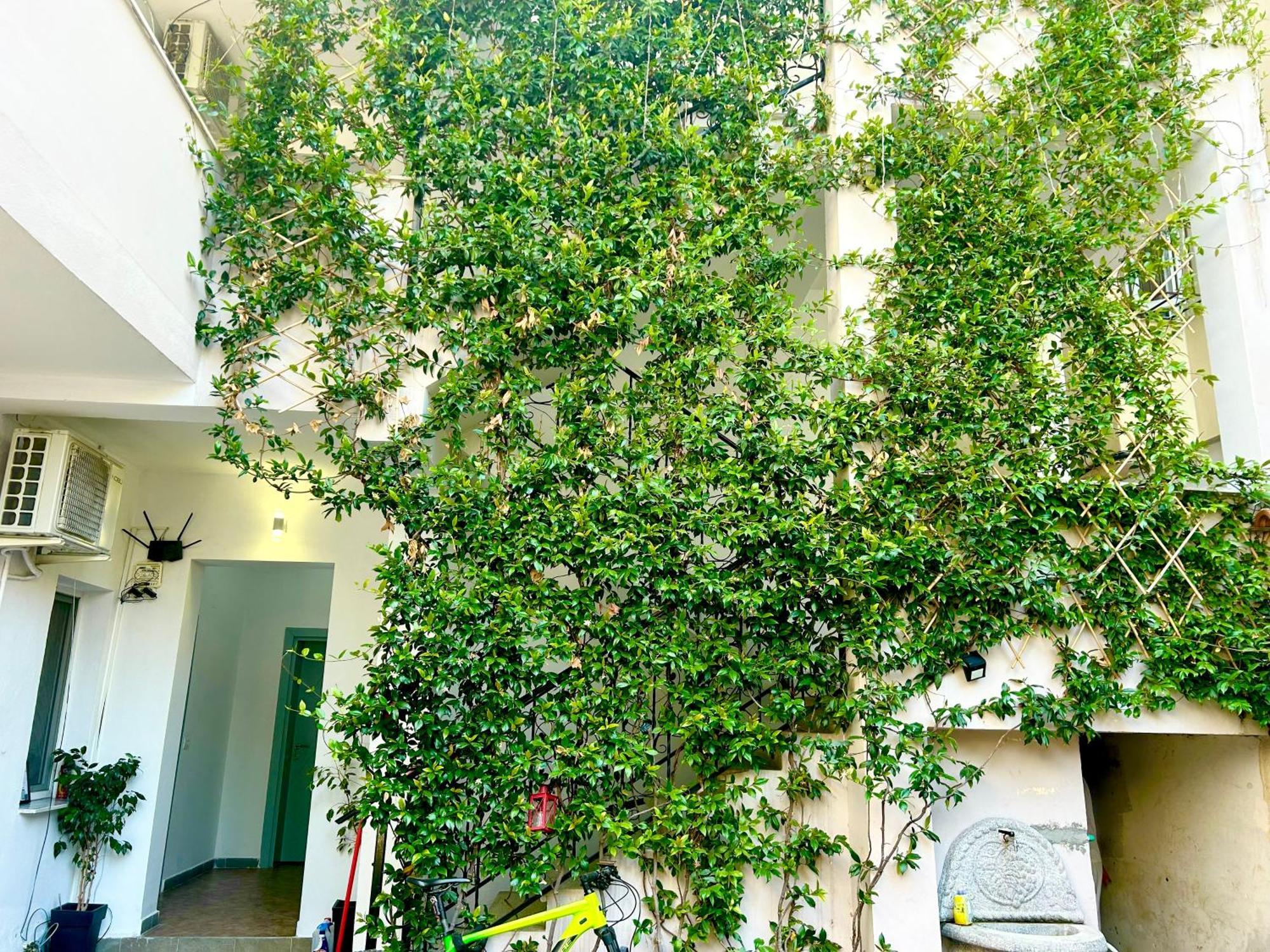 Budget Retreat Tirana & Studios Exteriör bild